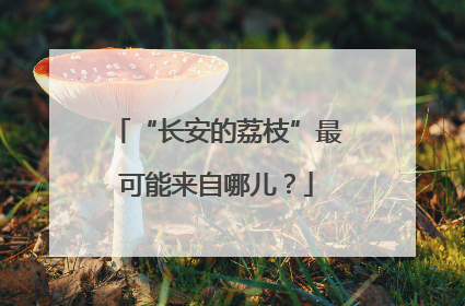 “长安的荔枝”最可能来自哪儿？