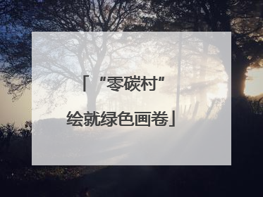 “零碳村” 绘就绿色画卷