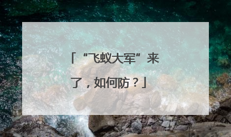 “飞蚁大军”来了，如何防？
