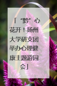 “黔”心花开！扬州大学研支团举办心理健康主题游园会