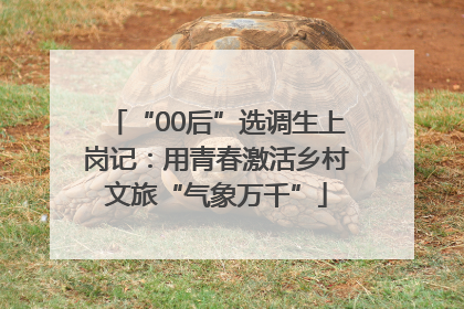 “00后”选调生上岗记：用青春激活乡村文旅“气象万千”