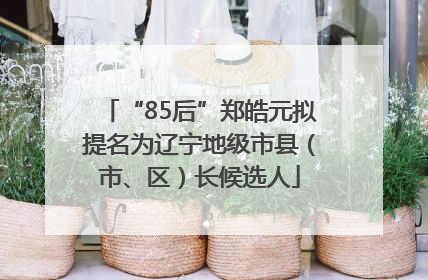 “85后”郑皓元拟提名为辽宁地级市县（市、区）长候选人