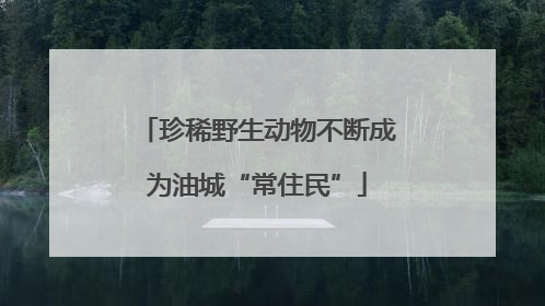 珍稀野生动物不断成为油城“常住民”