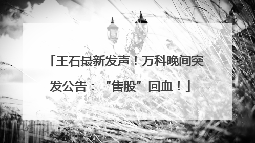 王石最新发声！万科晚间突发公告：“售股”回血！