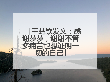 王楚钦发文：感谢莎莎，谢谢不管多痛苦也想证明一切的自己