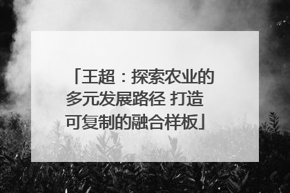 王超：探索农业的多元发展路径 打造可复制的融合样板