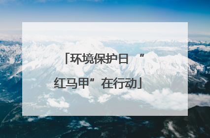 环境保护日 “红马甲”在行动