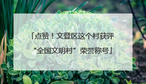 点赞！文登区这个村获评“全国文明村”荣誉称号