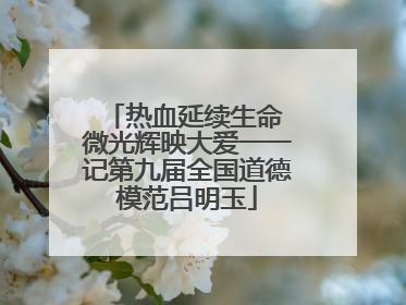 热血延续生命 微光辉映大爱一一记第九届全国道德模范吕明玉