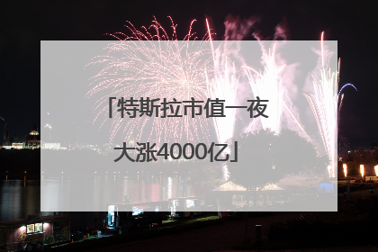 特斯拉市值一夜大涨4000亿