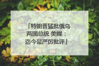 特朗普猛批俄乌两国总统 美媒：迄今最严厉批评