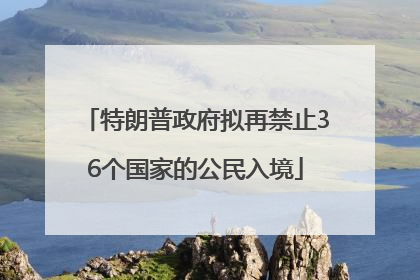 特朗普政府拟再禁止36个国家的公民入境