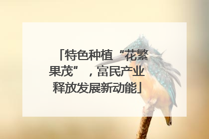 特色种植“花繁果茂”，富民产业释放发展新动能