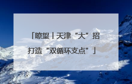 瞭望丨天津“大”招打造“双循环支点”
