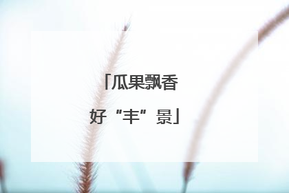 瓜果飘香 好“丰”景