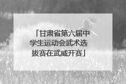甘肃省第六届中学生运动会武术选拔赛在武威开赛