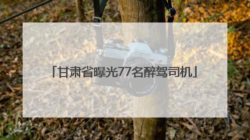 甘肃省曝光77名醉驾司机