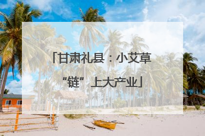 甘肃礼县：小艾草“链”上大产业
