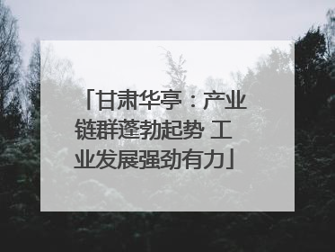 甘肃华亭：产业链群蓬勃起势 工业发展强劲有力