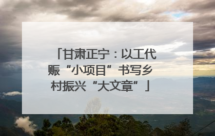 甘肃正宁：以工代赈“小项目”书写乡村振兴“大文章”