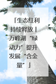 生态红利持续释放丨万峰湖“绿动力”提升发展“含金量”