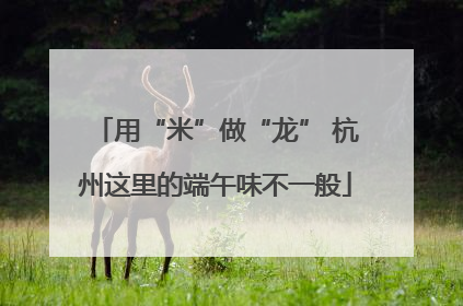 用“米”做“龙” 杭州这里的端午味不一般
