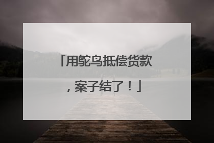 用鸵鸟抵偿货款，案子结了！