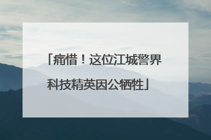 痛惜！这位江城警界科技精英因公牺牲