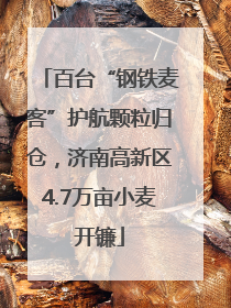 百台“钢铁麦客”护航颗粒归仓，济南高新区4.7万亩小麦开镰