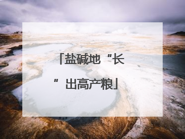 盐碱地“长”出高产粮