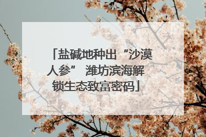 盐碱地种出“沙漠人参” 潍坊滨海解锁生态致富密码