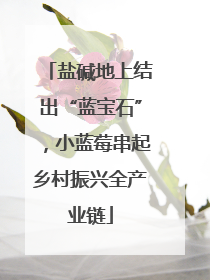 盐碱地上结出“蓝宝石”，小蓝莓串起乡村振兴全产业链