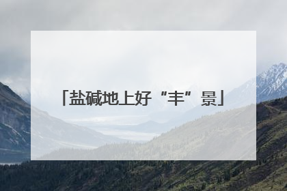 盐碱地上好“丰”景