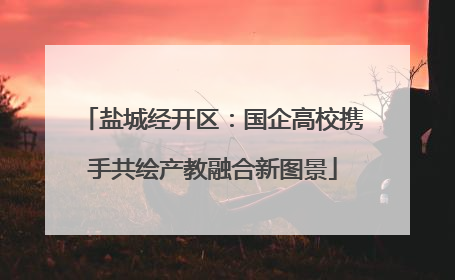 盐城经开区：国企高校携手共绘产教融合新图景