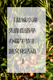 盐城亭湖先锋街道举办端午节主题文化活动