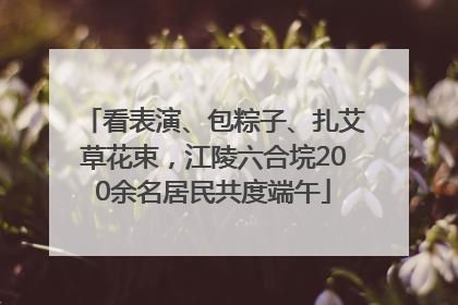 看表演、包粽子、扎艾草花束，江陵六合垸200余名居民共度端午