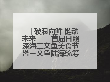 破浪向鲜 链动未来——首届日照深海三文鱼美食节暨三文鱼陆海统筹全产业链发展会议嘉宾访谈
