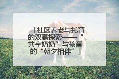 社区养老与托育的双赢探索——“共享奶奶”与孩童的“朝夕相伴”