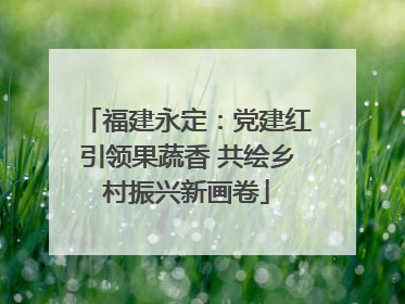 福建永定：党建红引领果蔬香 共绘乡村振兴新画卷
