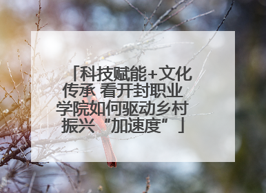 科技赋能+文化传承 看开封职业学院如何驱动乡村振兴“加速度”
