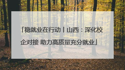 稳就业在行动丨山西：深化校企对接 助力高质量充分就业