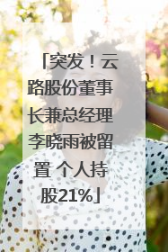突发！云路股份董事长兼总经理李晓雨被留置 个人持股21%