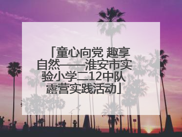 童心向党 趣享自然——淮安市实验小学二12中队露营实践活动