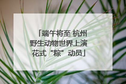 端午将至 杭州野生动物世界上演花式“粽”动员