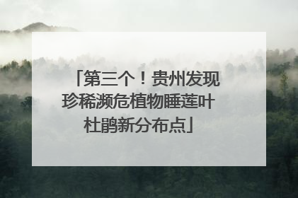 第三个！贵州发现珍稀濒危植物睡莲叶杜鹃新分布点