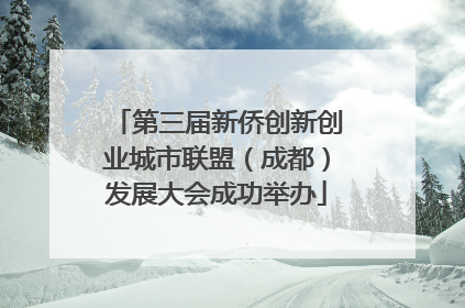 第三届新侨创新创业城市联盟（成都）发展大会成功举办