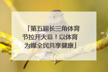 第五届长三角体育节拉开大幕！以体育为媒全民共享健康