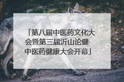 第八届中医药文化大会暨第三届沂山论健·中医药健康大会开幕