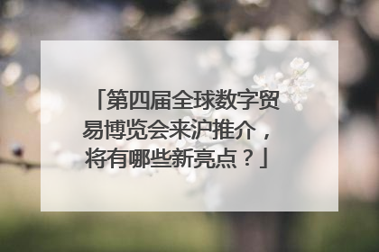 第四届全球数字贸易博览会来沪推介，将有哪些新亮点？