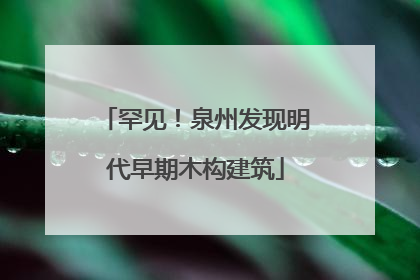 罕见！泉州发现明代早期木构建筑